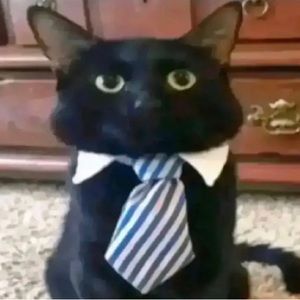 Meet your Posher, Roger J